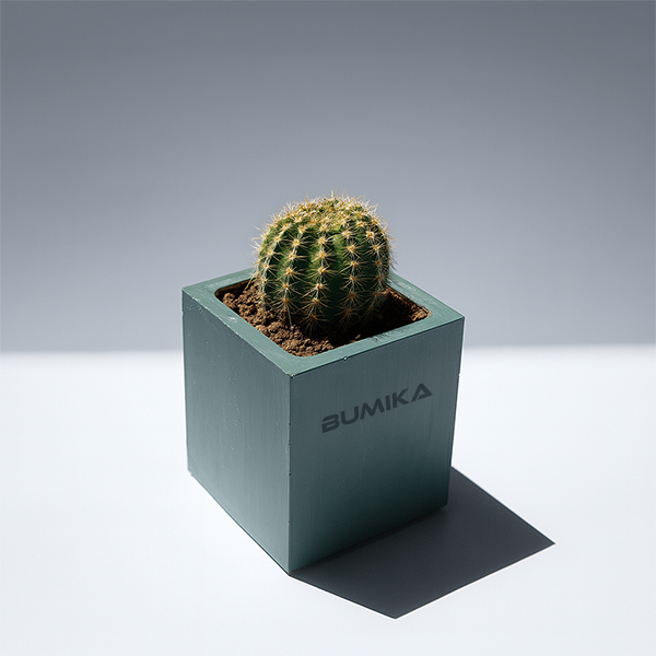 گلدان مکعبی کوچک