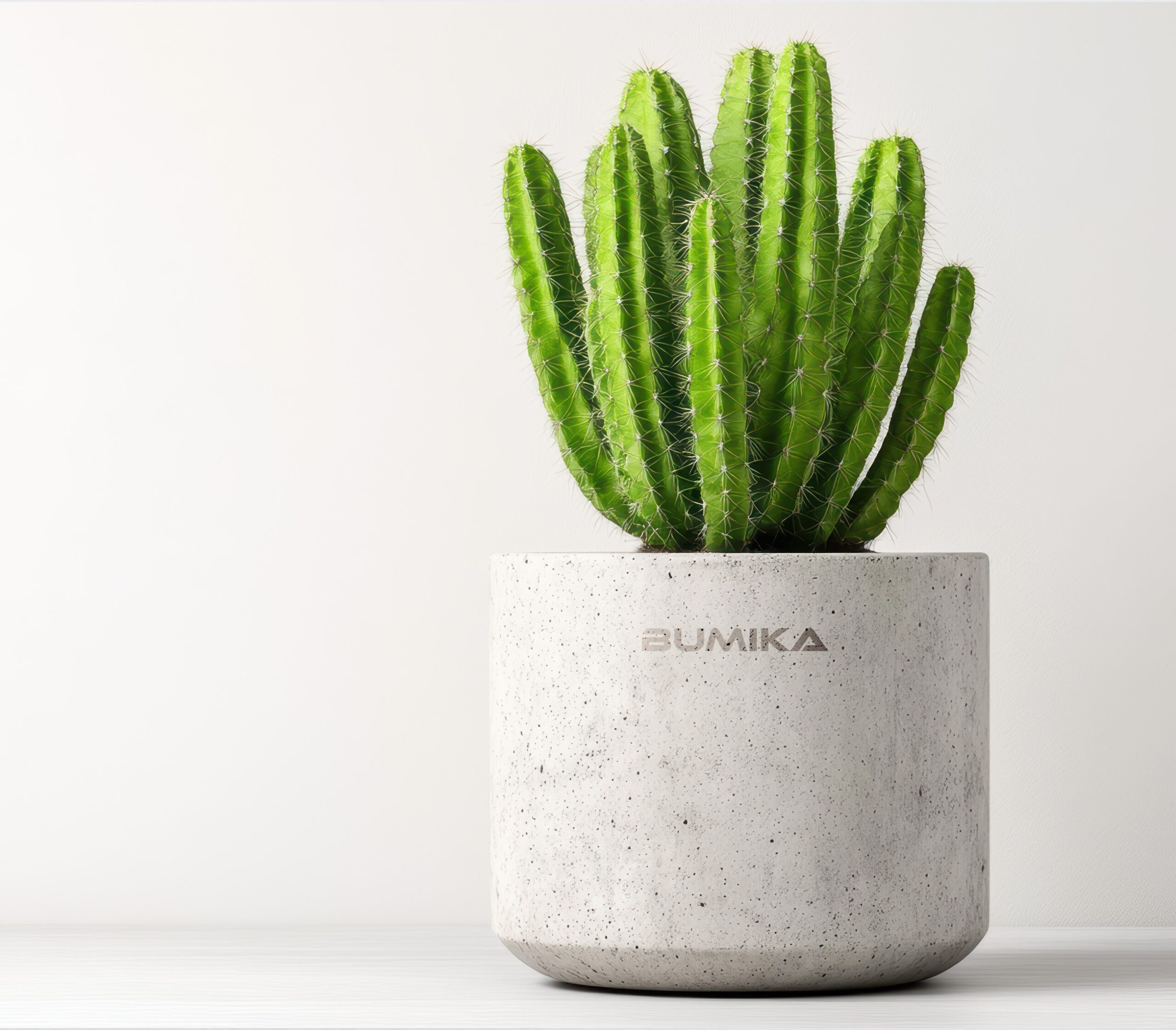 گلدان بتنی تبلیغاتی scaled